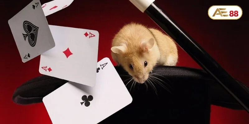 Bỏ túi các mẹo đánh tiến lên hiệu quả cho người mới nhập môn Bỏ túi các mẹo đánh tiến lên hiệu quả cho người mới nhập môn