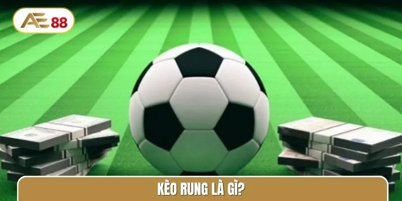 Hướng dẫn bắt kèo rung thành công